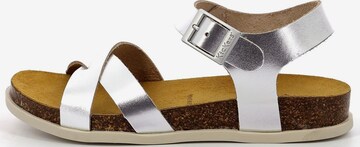 Kickers Strap Sandals in Silver