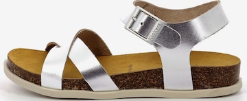 Kickers Sandalen met riem in Zilver