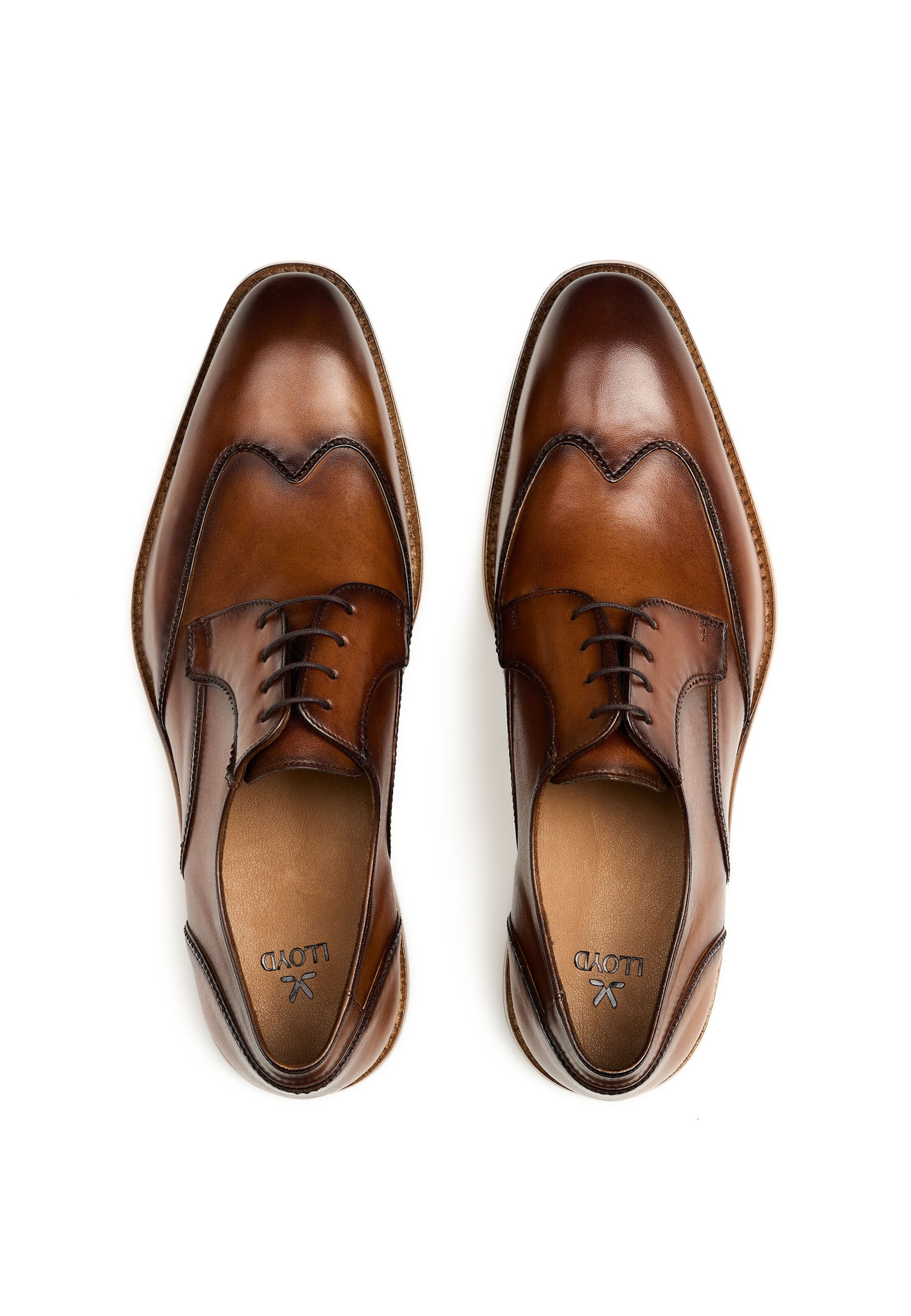 LLOYD Lace-up shoe 'NOBEL' in Brown