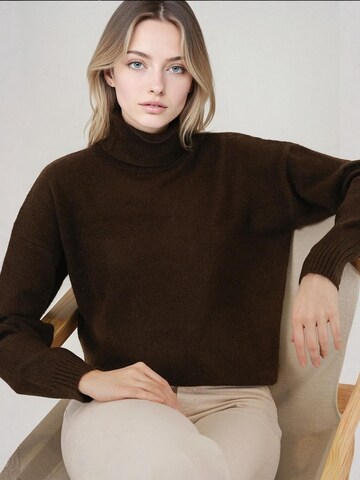 Pull-over Bigdart en marron