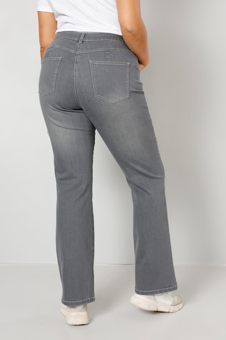 Dollywood Bootcut Jeans in Grau