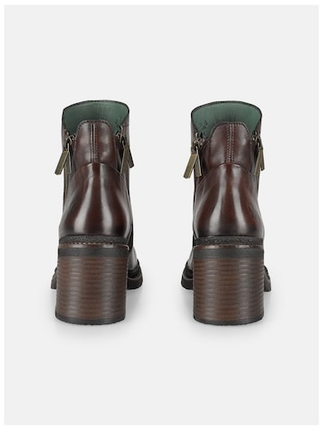 Bottines 'Sakura E275' FELMINI en marron