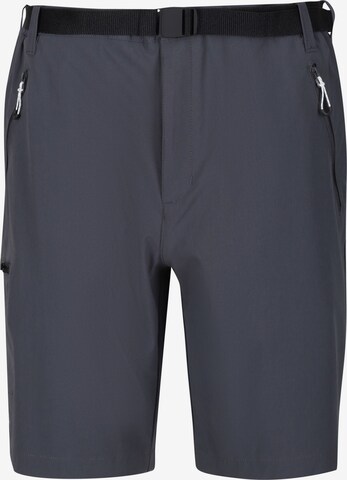 REGATTA Outdoor Pants 'Xert III' in Grey: front