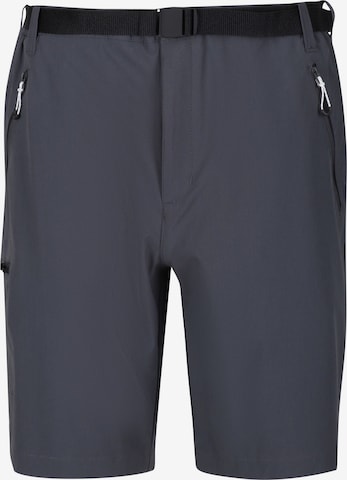 REGATTA Regular Outdoor Pants 'Xert III' in Grey: front