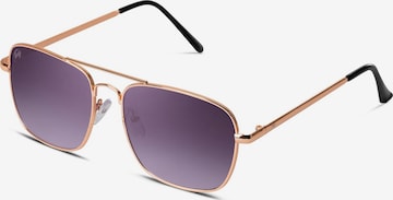 TWIG Concept Milano Sunglasses 'Ruskin' in Grey: front