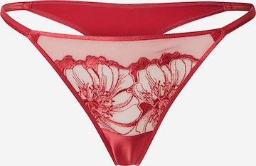 ETAM String 'AMARYLLIS' in Red: front