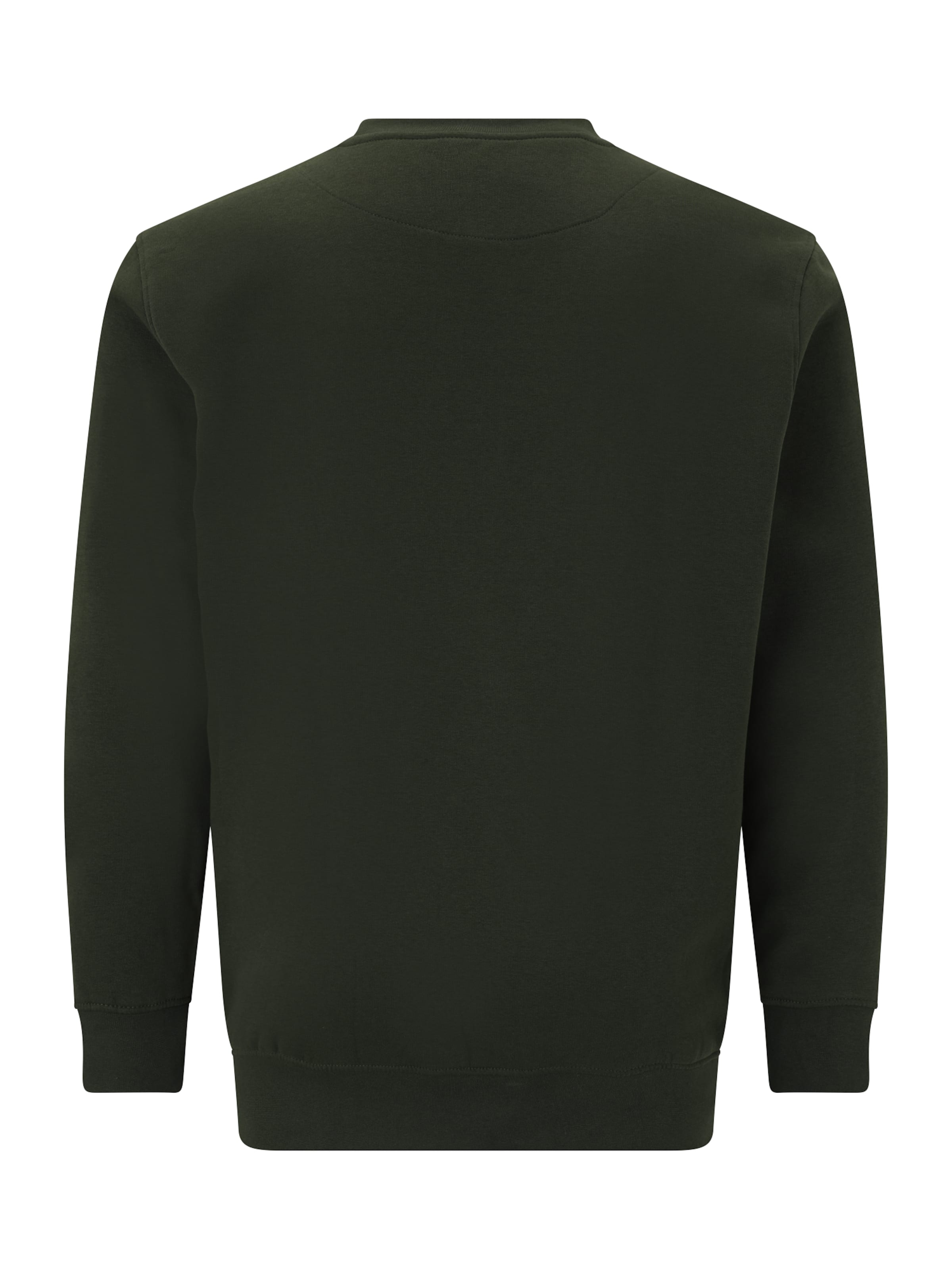 Jack & Jones Plus Sweatshirt 'JJESOHO' in Green