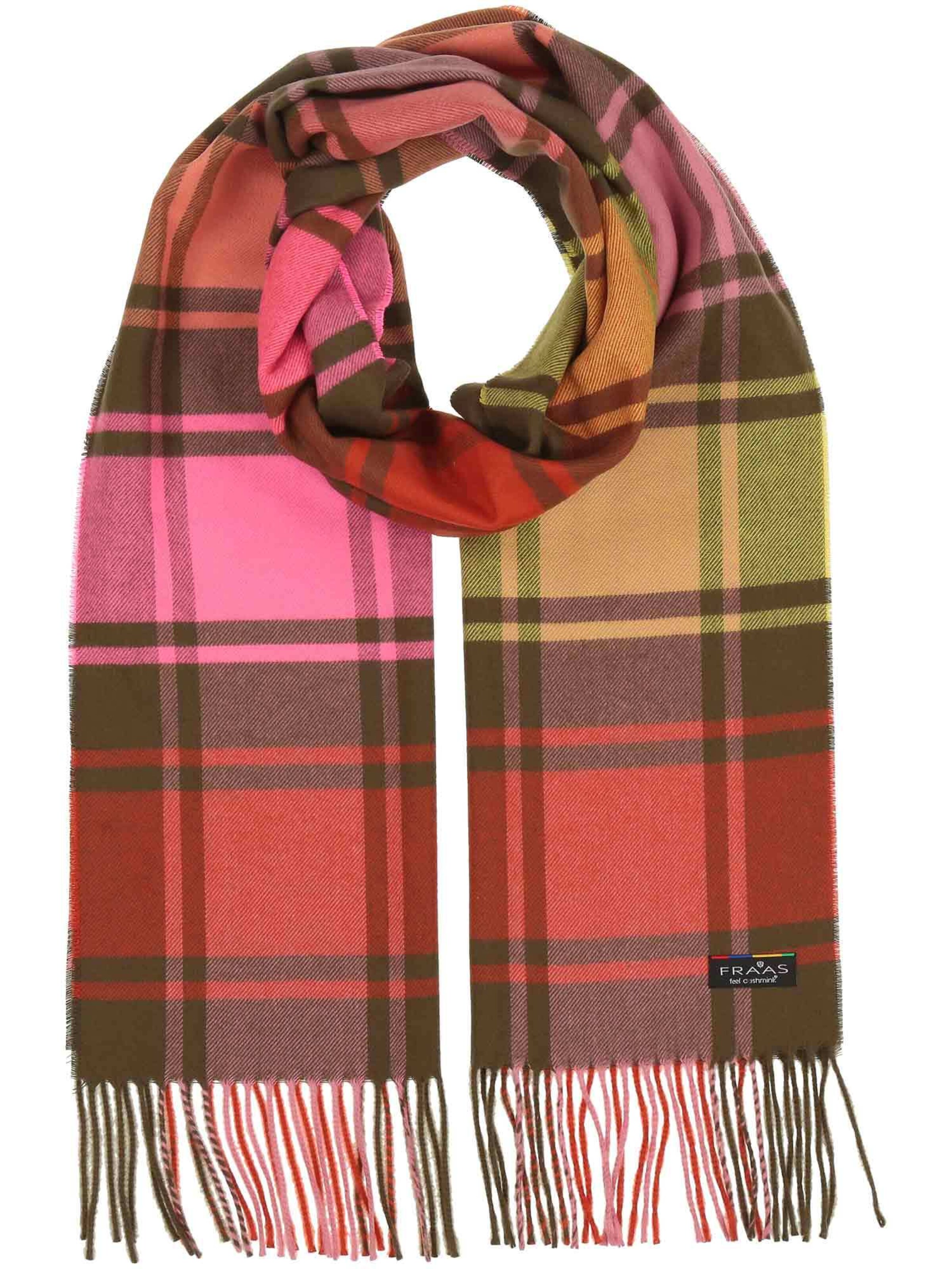 FRAAS Scarf in Mixed colors: front