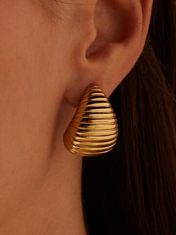Lucardi Earrings in Gold