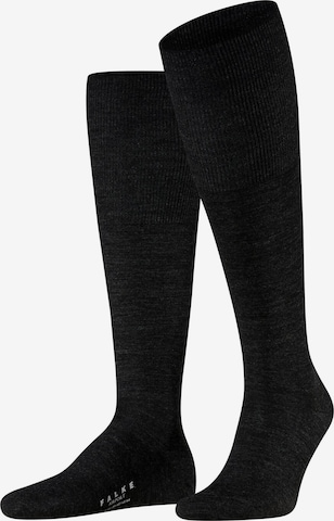 FALKE Knee High Socks 'Airport' in Grey: front