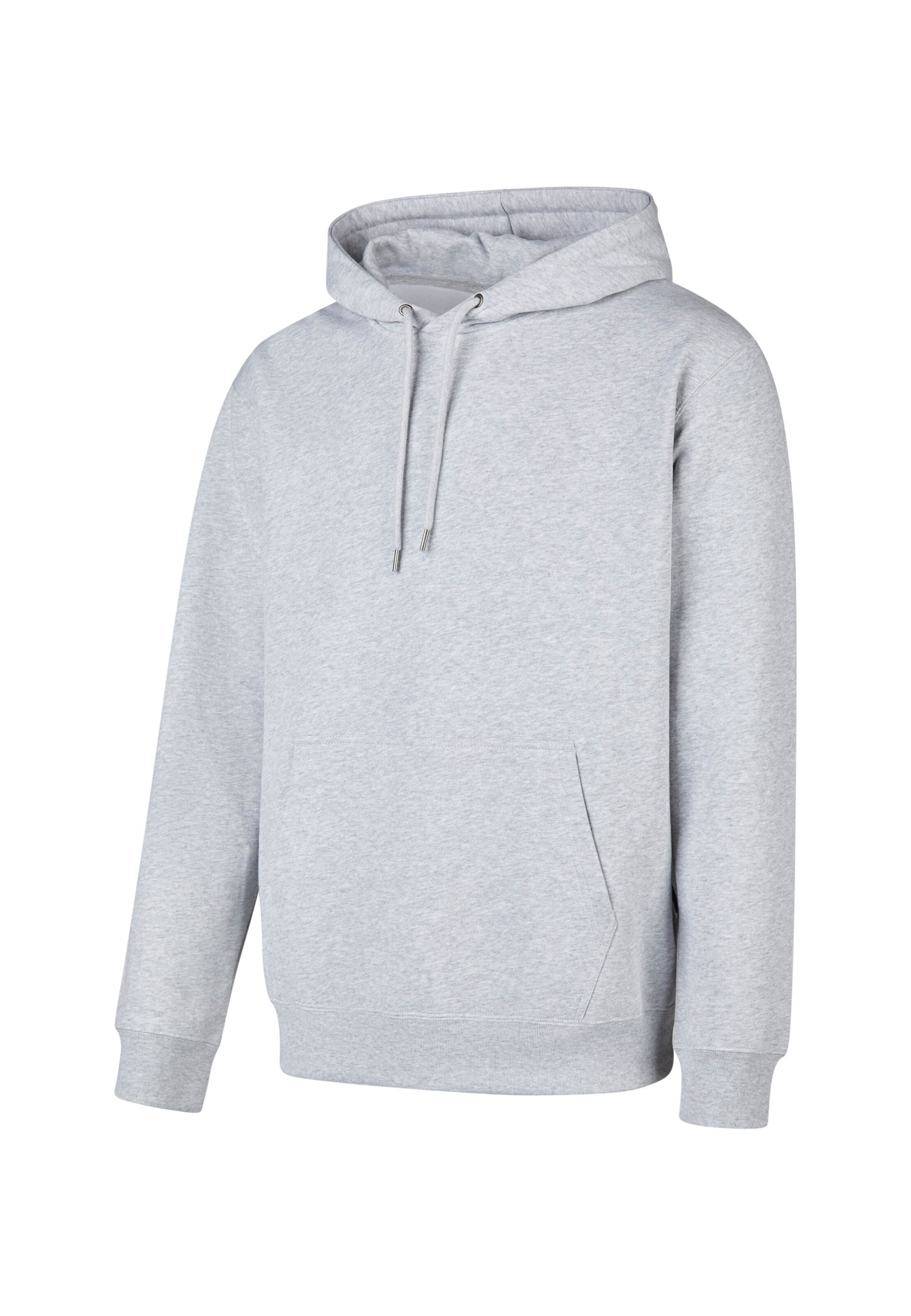 Cleptomanicx Sweatshirt 'Hooded Ligull Classic' in Grey