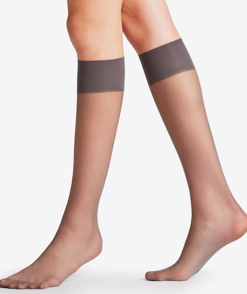 FALKE Knee High Socks 'Pure Matt' in Grey: front