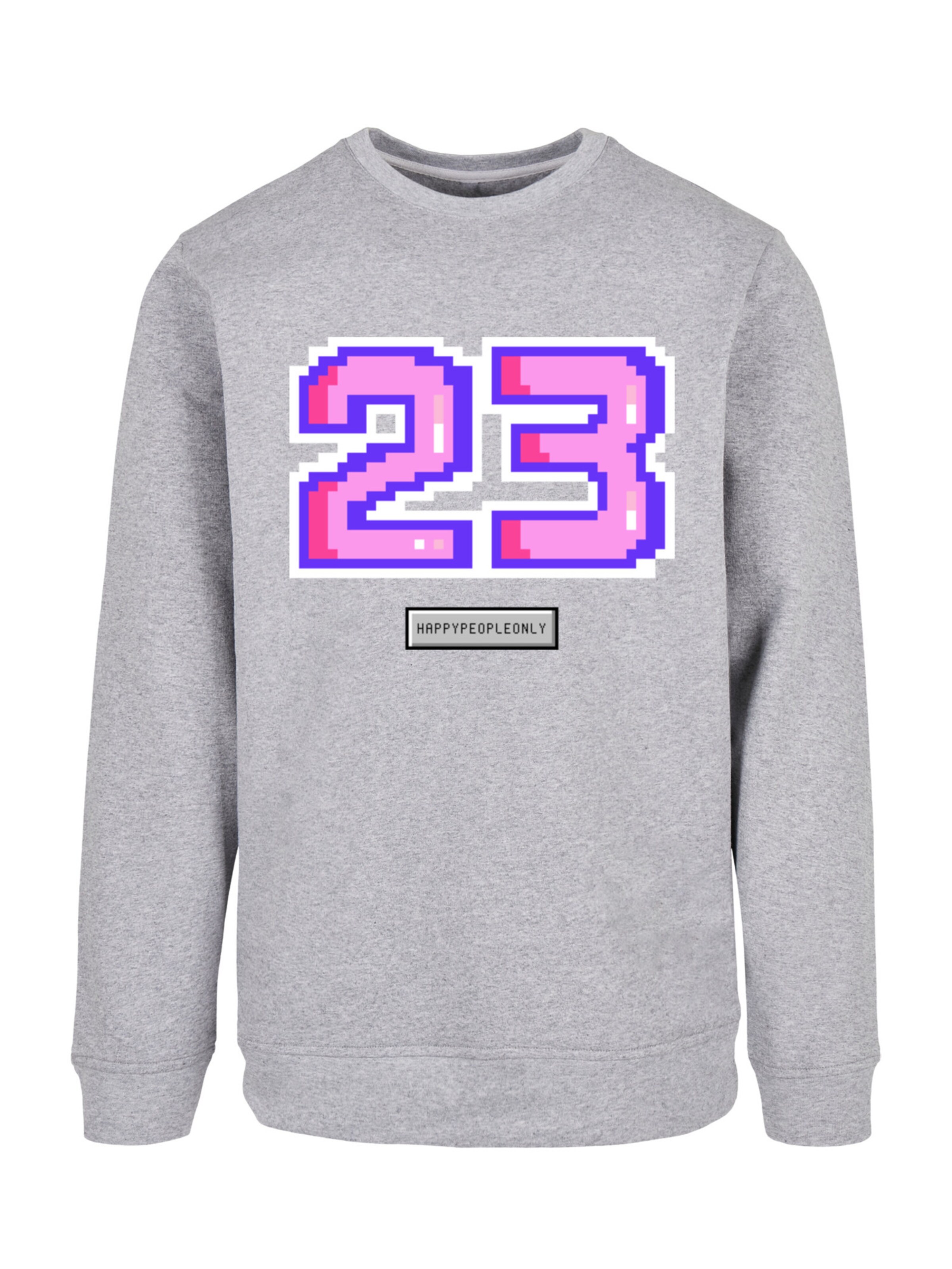 F4NT4STIC Sweatshirt in Grau: Vorderseite