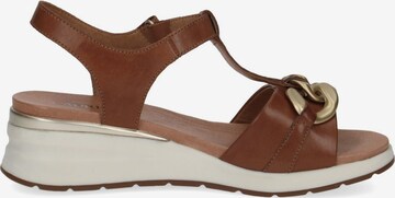 CAPRICE Sandals in Brown