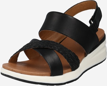 CAPRICE Sandal i svart: framsida