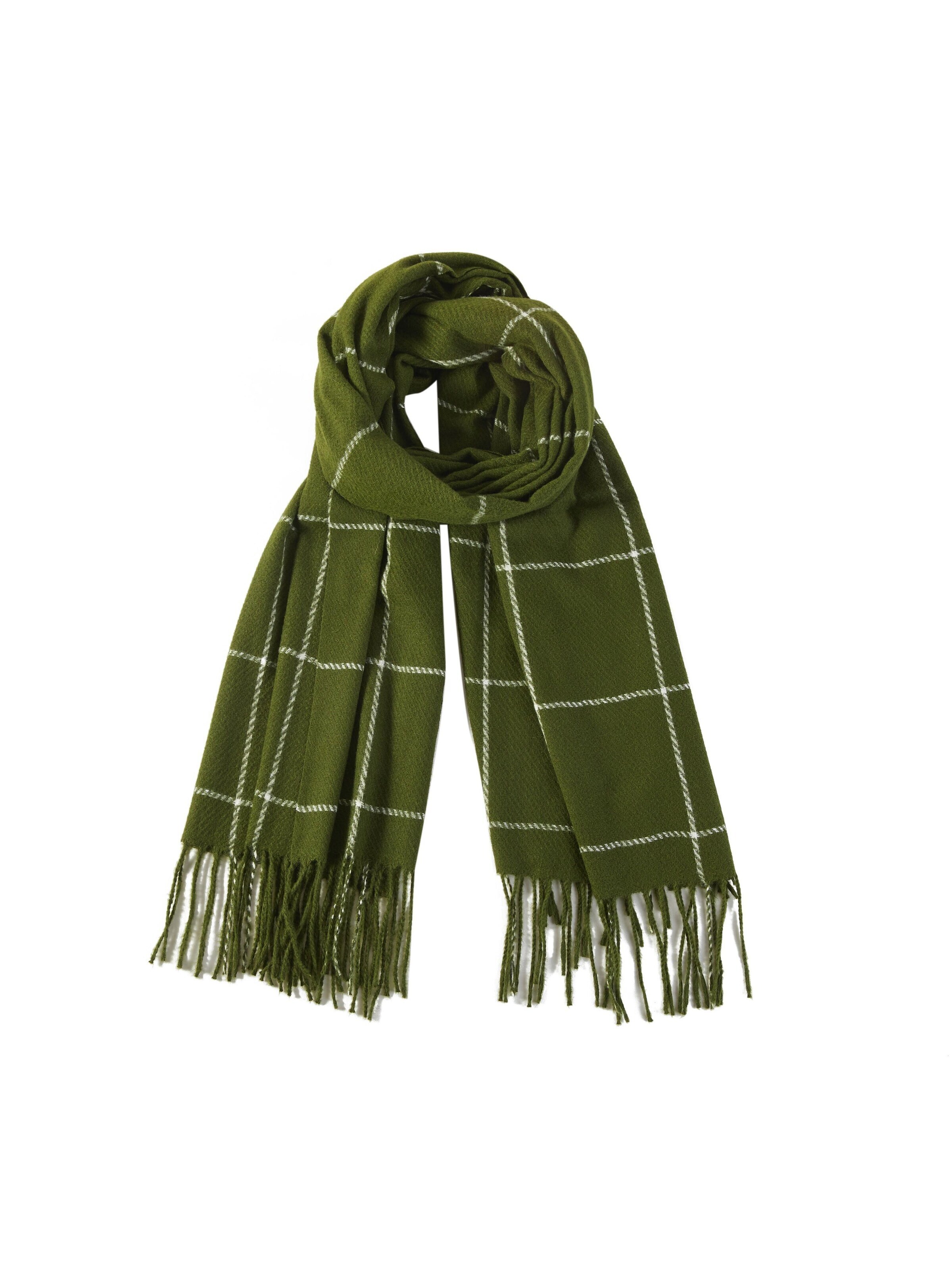 alberto cabale Scarf 'Line' in Green: front