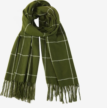 alberto cabale Scarf 'Line' in Green: front