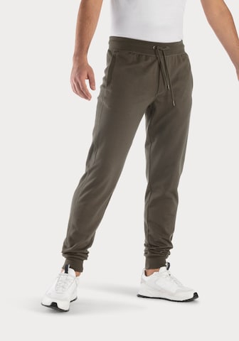 s.Oliver Tapered Hose in Grün: Vorderseite