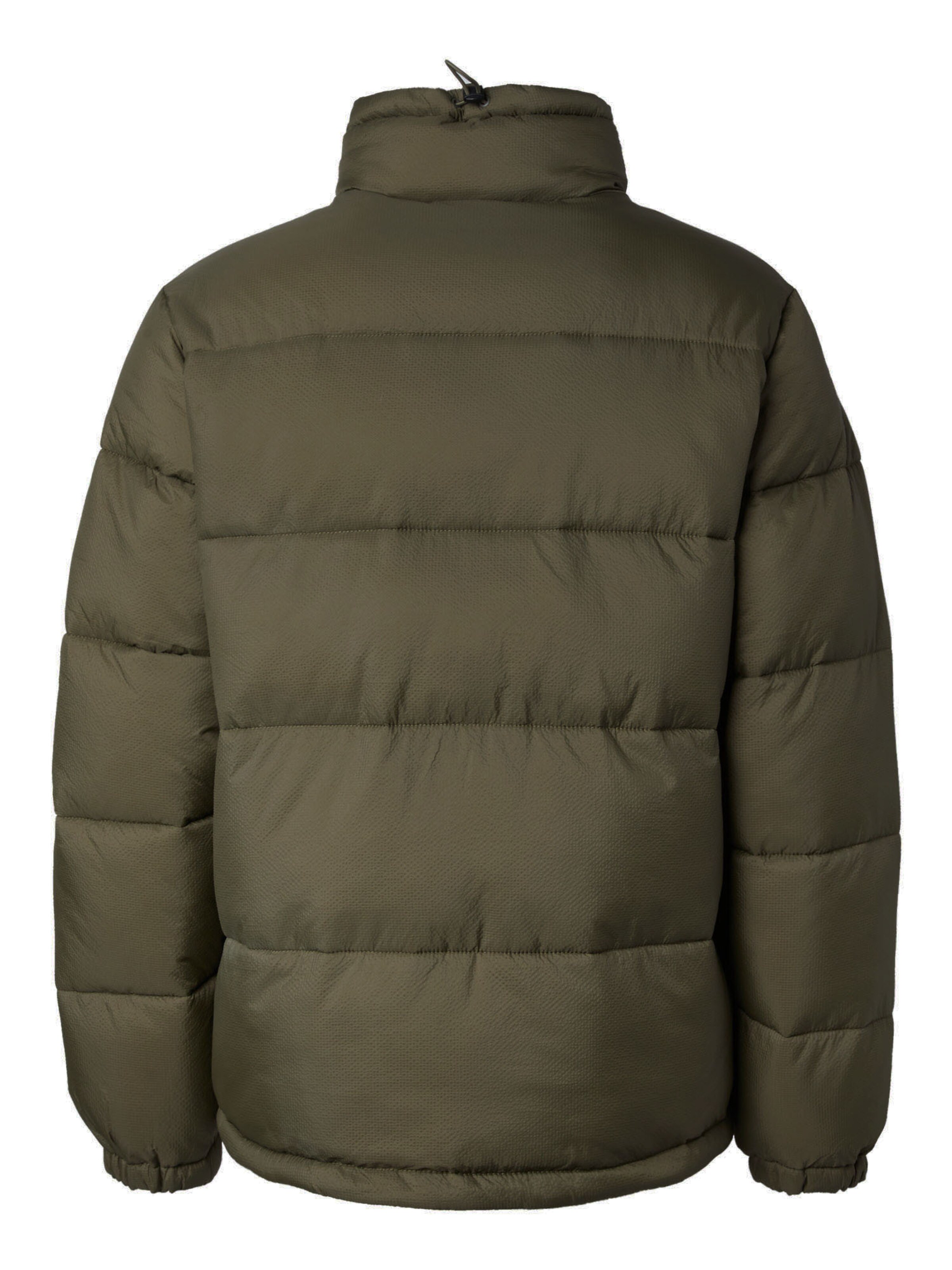 DICKIES Зимняя куртка 'Waldenburg' в Зеленый