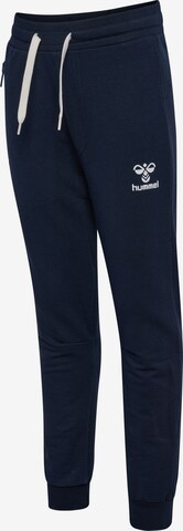 Hummel Regular Sportbroek in Blauw