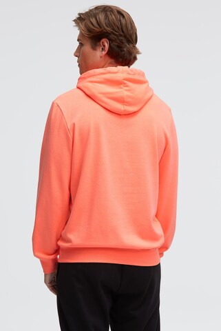 CAMP DAVID Sweatshirt in Orange