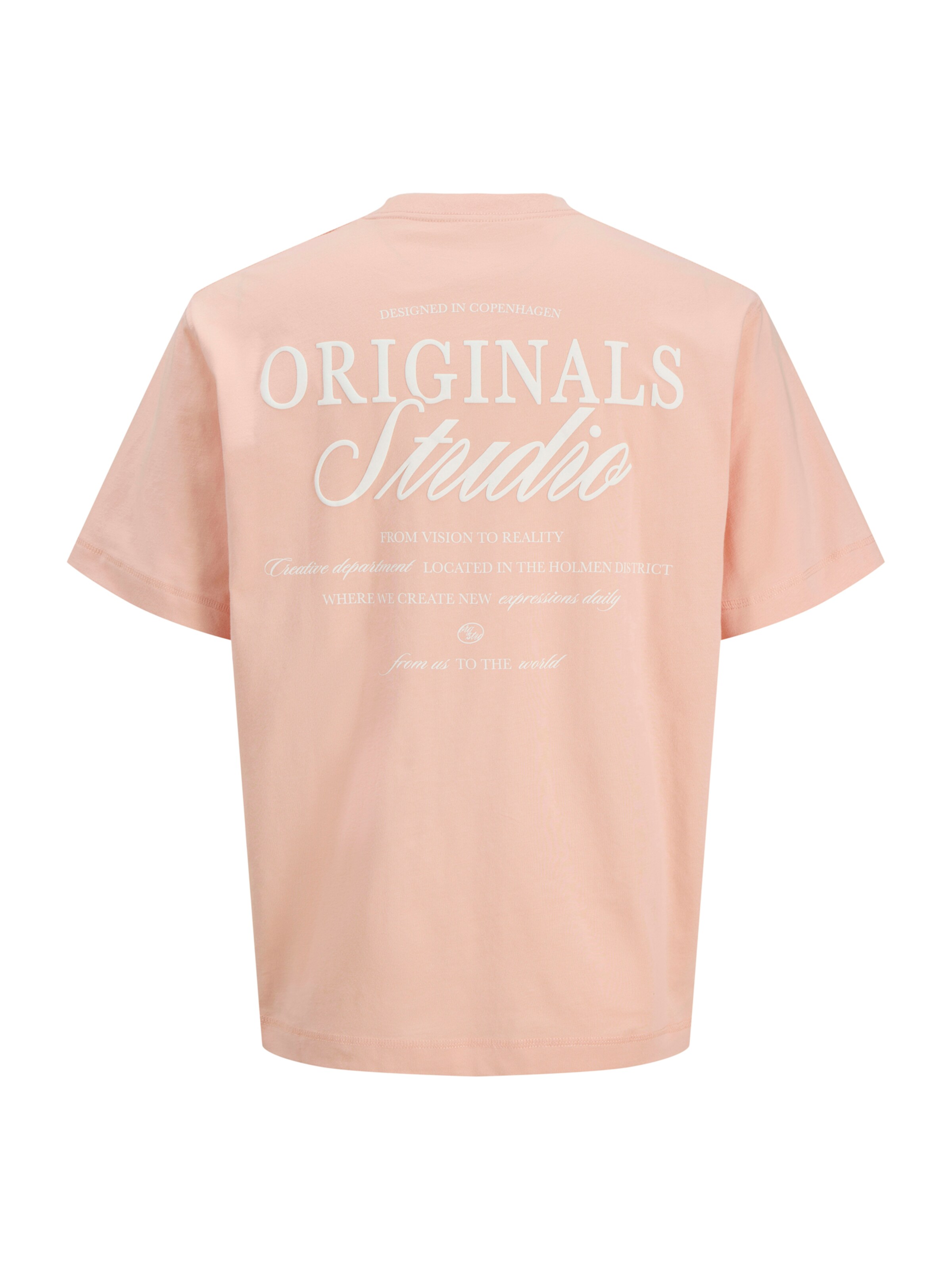 Jack & Jones Plus T-Shirt 'JORNORREBRO' in Orange