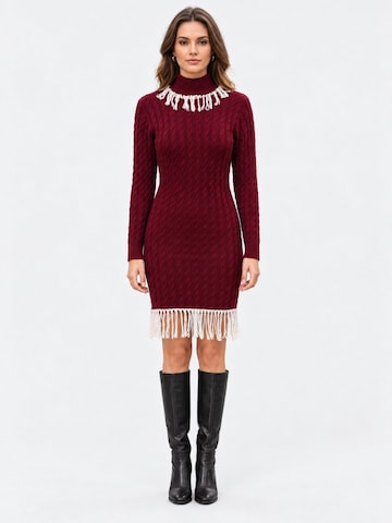 RYVAN Knit dress 'Strickkleider' in Red: front