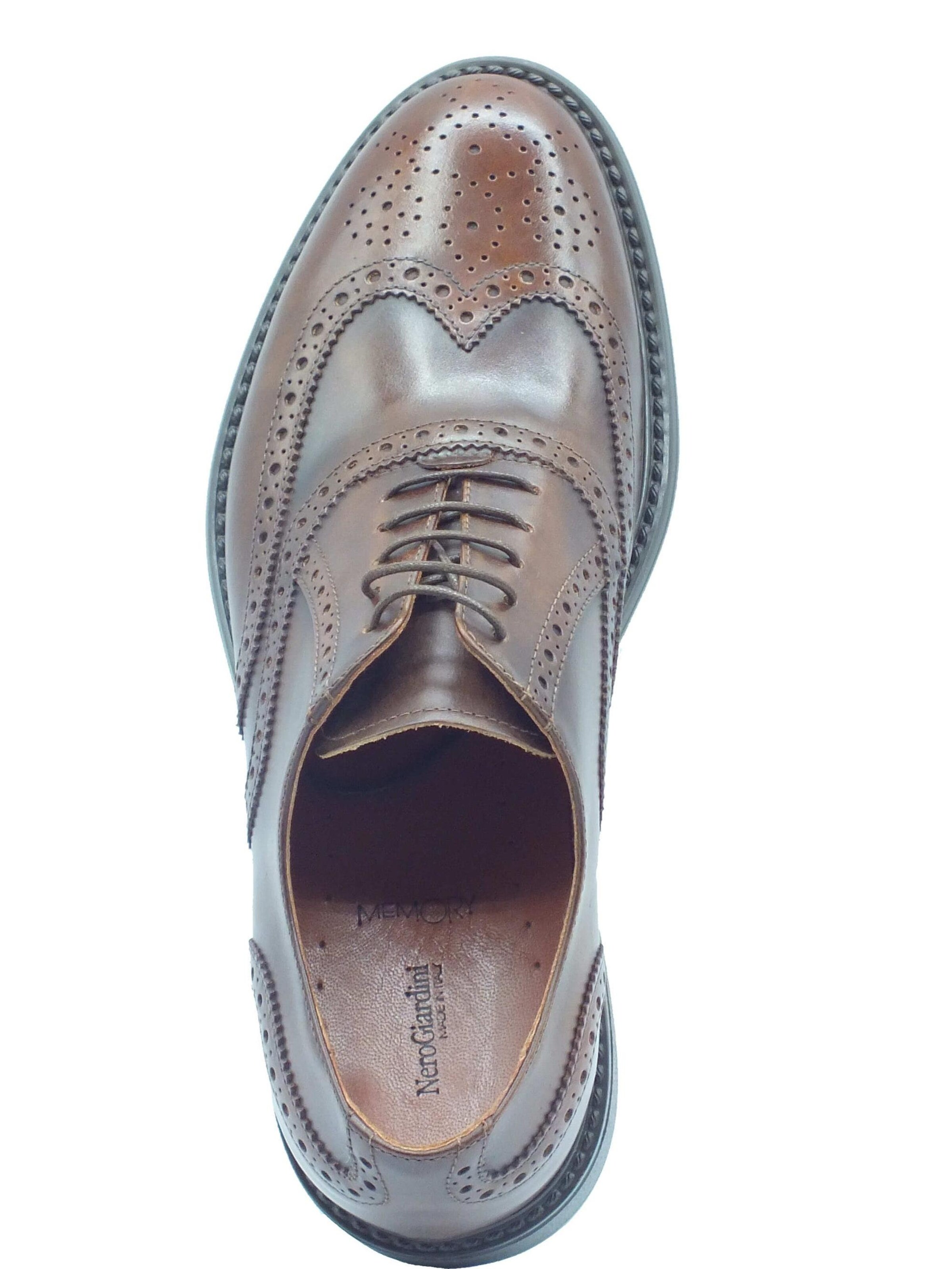 Nero Giardini Lace-up shoe 'Delavato Col.' in Brown
