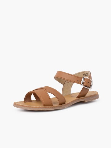 Sandales Pisamonas en marron