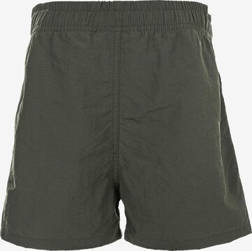 Cruz Regular Shorts in Grün