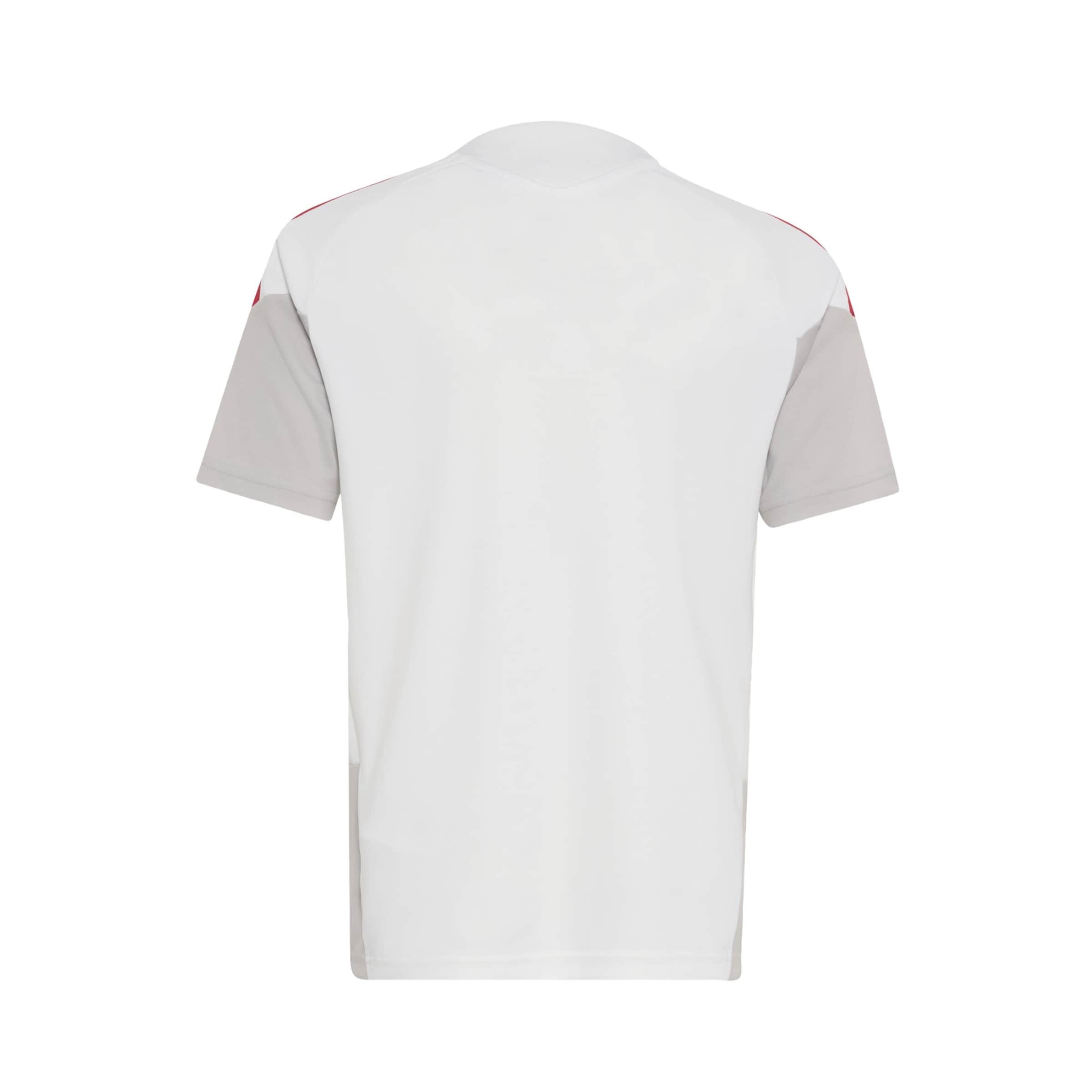 ADIDAS PERFORMANCE Funkční tričko 'Liverpool FC 26/27 Cup Tiro' – bílá