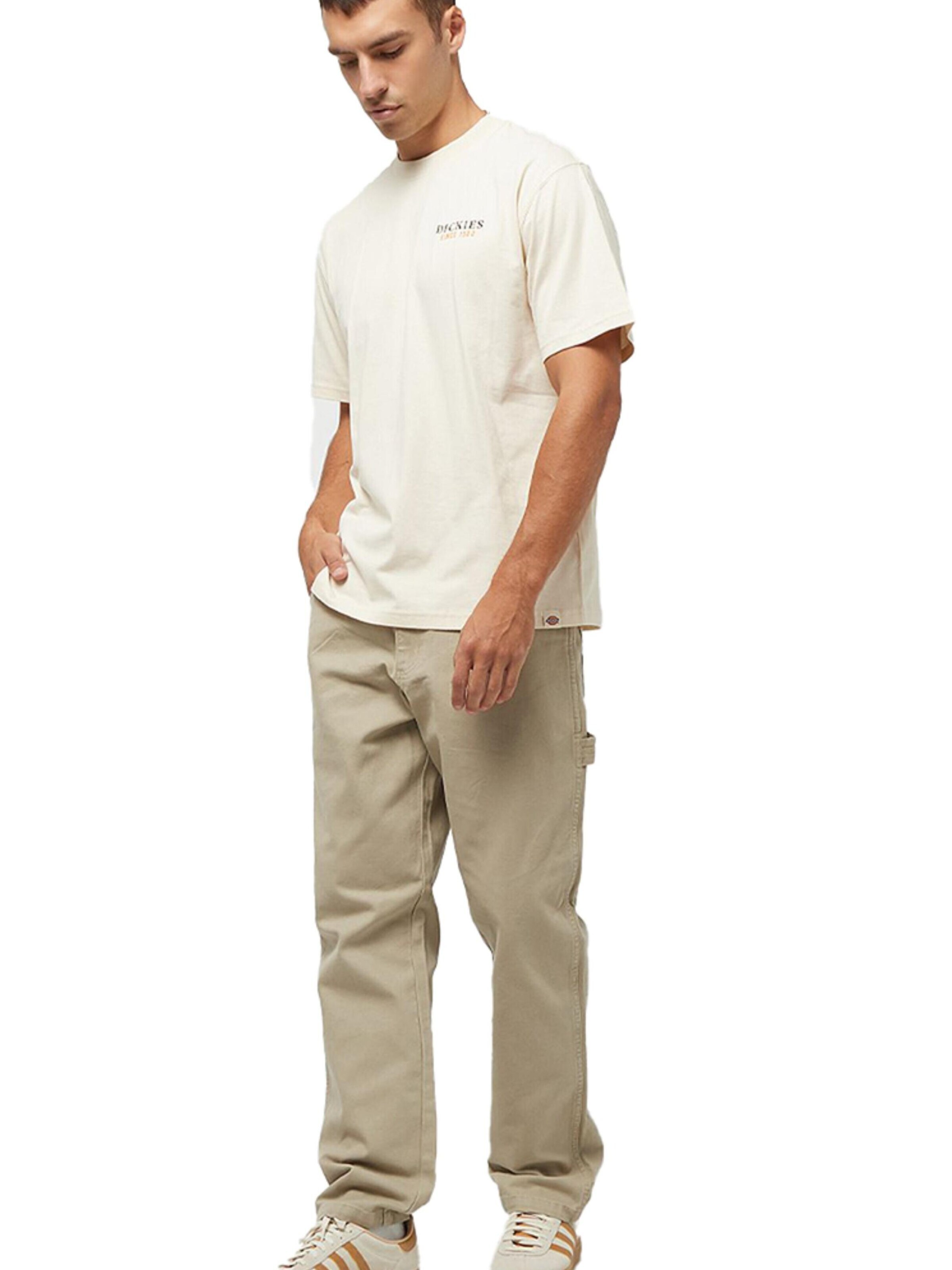 DICKIES Pants 'Duck' in Beige: front