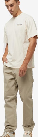 DICKIES Pants 'Duck' in Beige: front