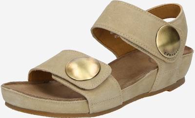 Ca'Shott Sandales 'CASAVA' en beige foncé, Vue avec produit