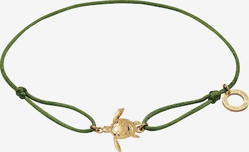 Paul Hewitt Bracelet in Green: front