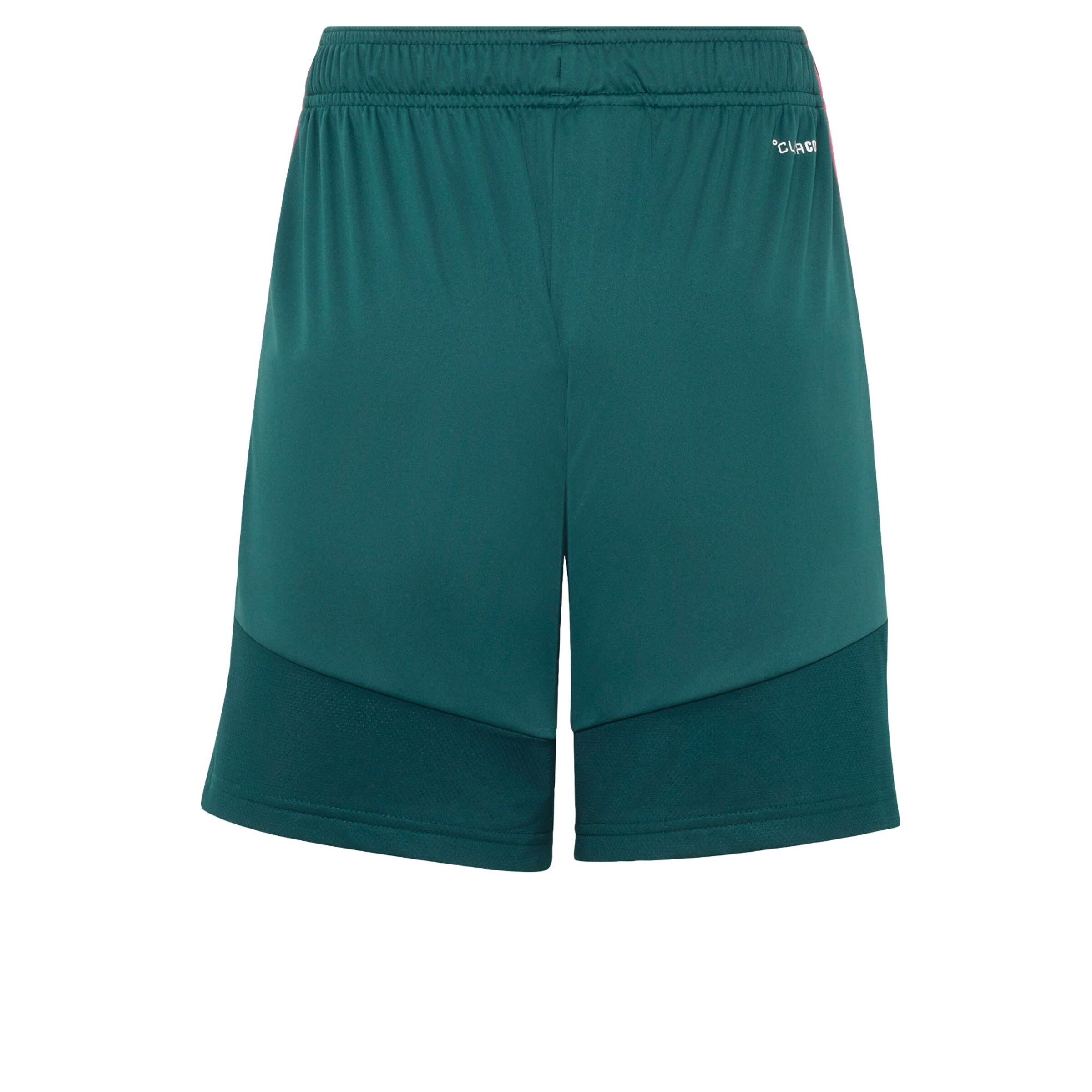 ADIDAS PERFORMANCE - regular Pantalón deportivo 'Jude Bellingham Tiro League' en verde