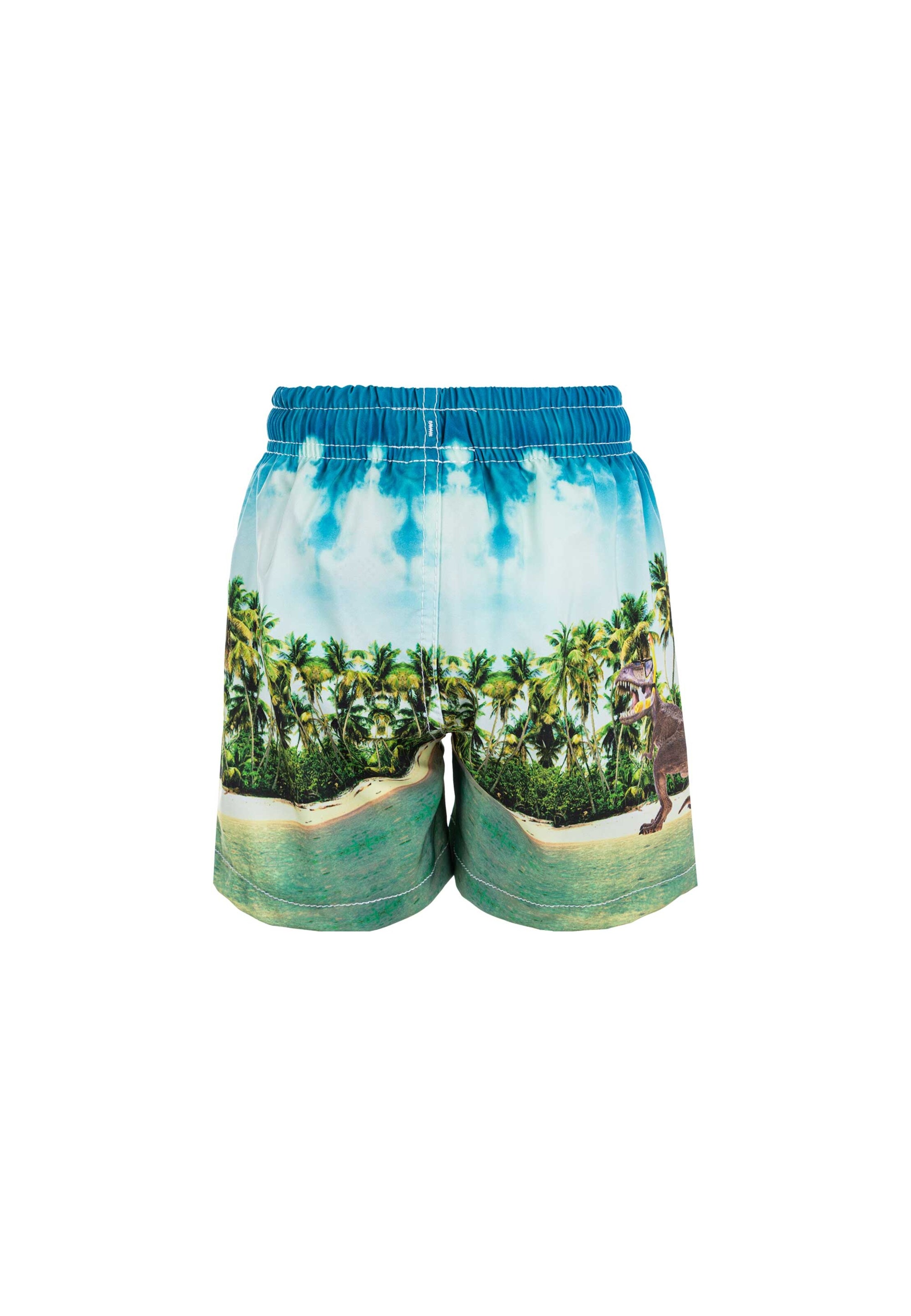 ZigZag Badehose in Mischfarben