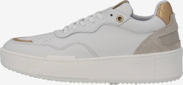 Palado Athletic Lace-Up Shoes in White