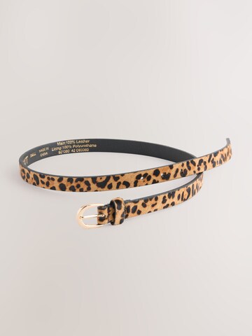 Next Belt in Mixed colours