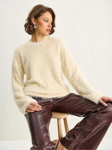Bianco Lucci Pullover in Beige