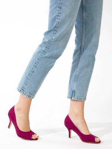 Celena Pumps 'Cecilia' in Purple