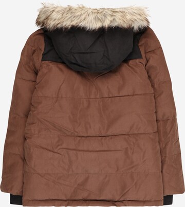 Abercrombie & Fitch Winter Jacket in Brown