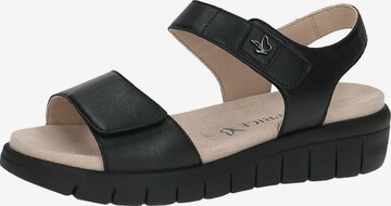 CAPRICE Strap Sandals in Black: front