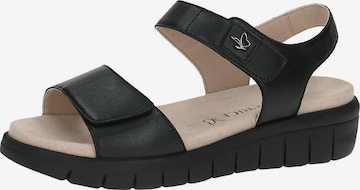 CAPRICE Strap Sandals in Black: front