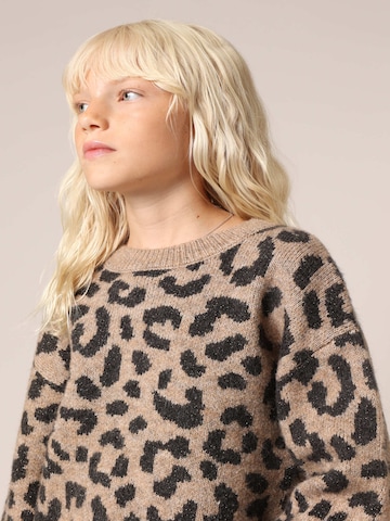 Pull-over 'Nawa' Deeluxe en marron