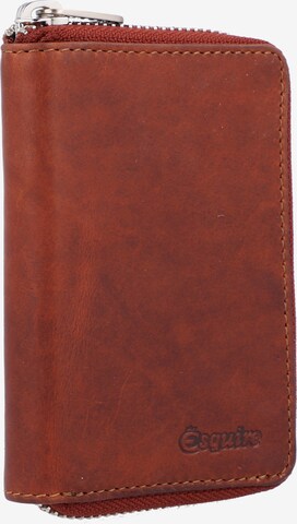 Esquire Wallet 'Oslo Dallas' in Brown