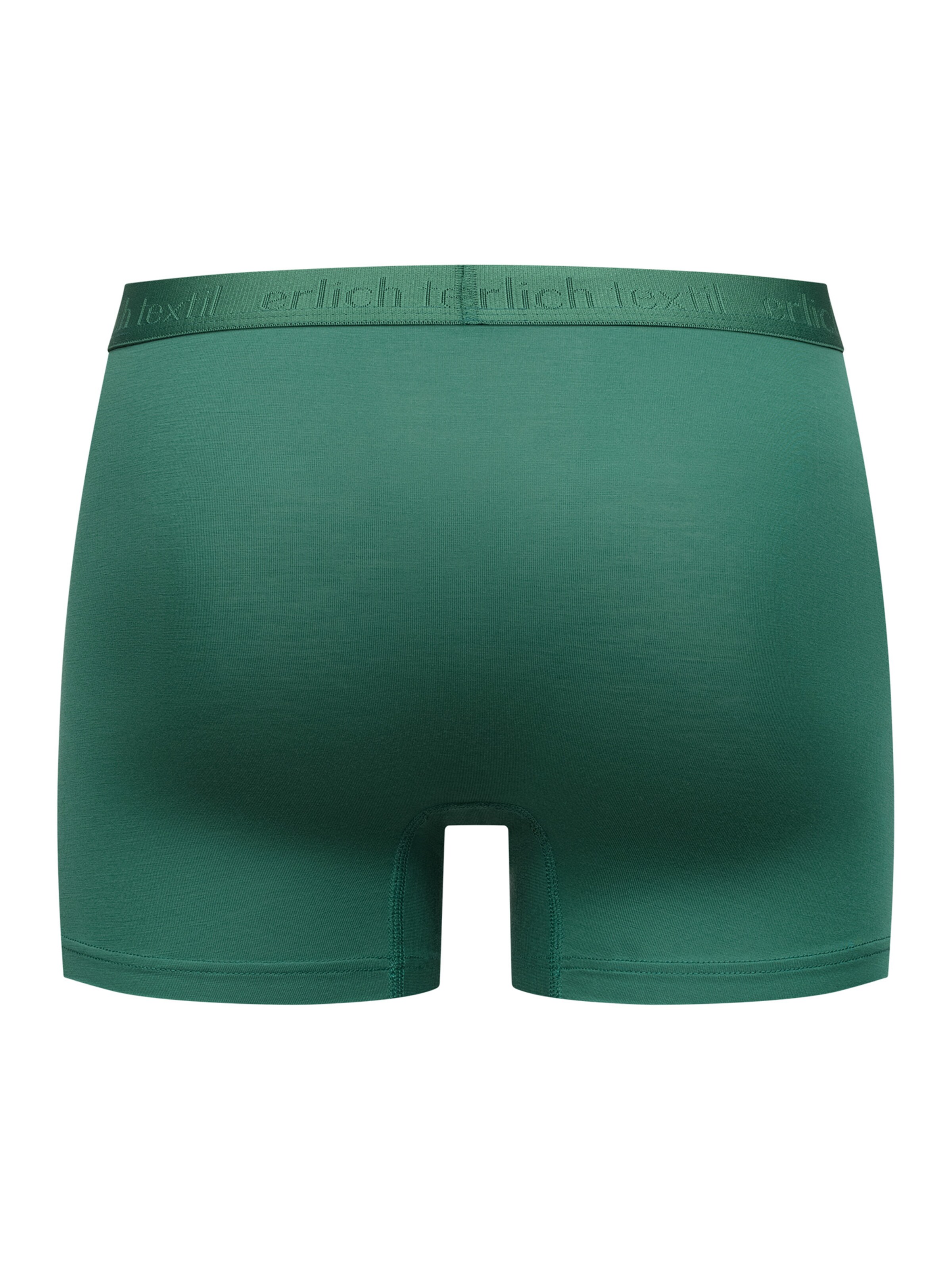 Boxers Erlich Textil en vert