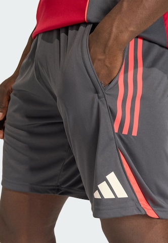 ADIDAS PERFORMANCE - regular Pantalón deportivo 'FC Liverpool Tiro 25 Competition' en gris