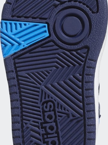 ADIDAS - Calzado deportivo 'adidas Hoops Mid 3.0 Sneakers' en azul