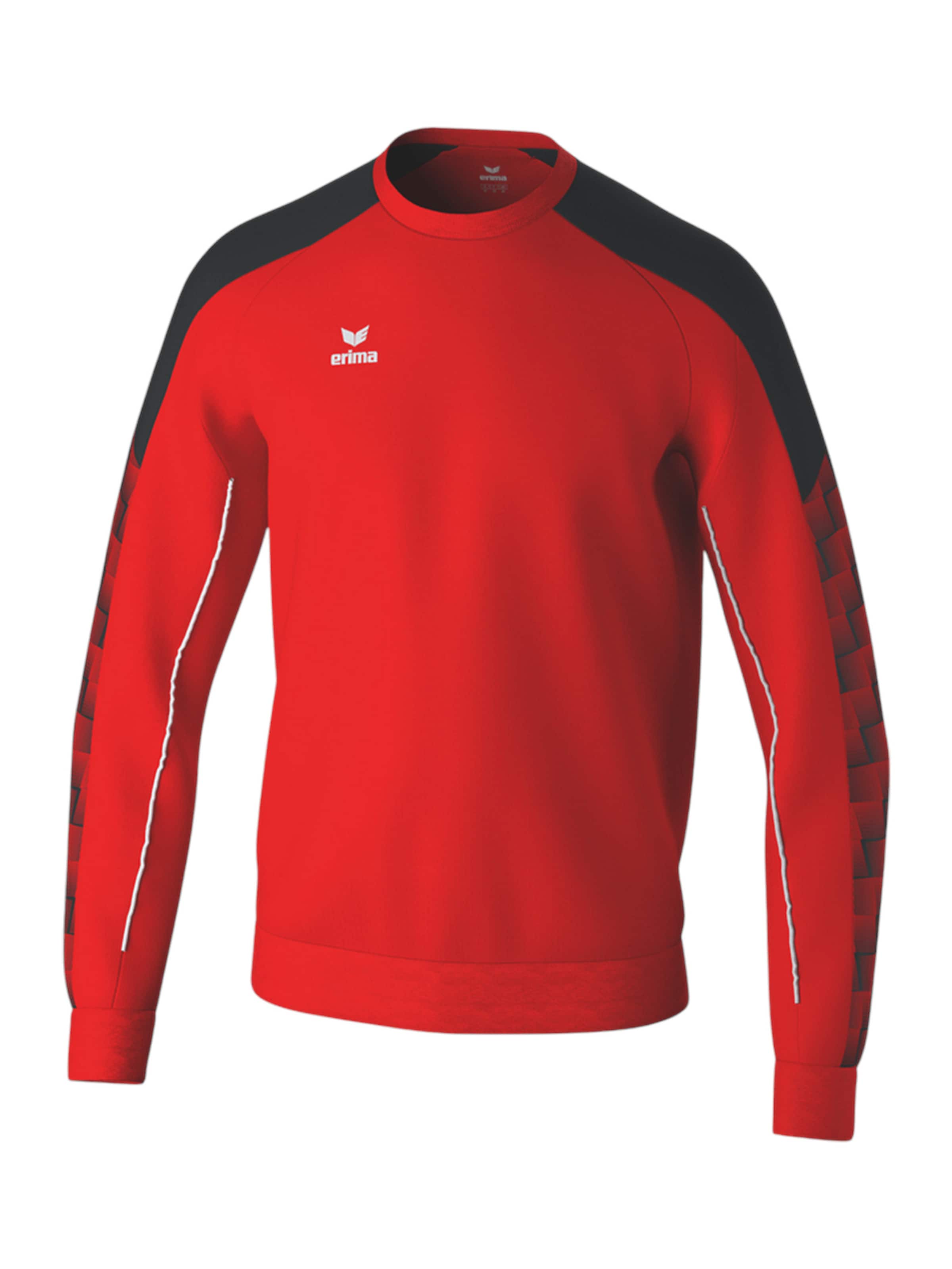 ERIMA Спортивный свитшот 'Evo Star' в Красный: спереди